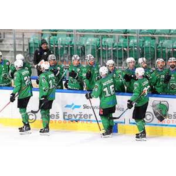 In action during Alps league ice-hockey match between SZ Olimpija and Vipiteno Broncos in Ljubljana, Slovenia on March 27, 2021