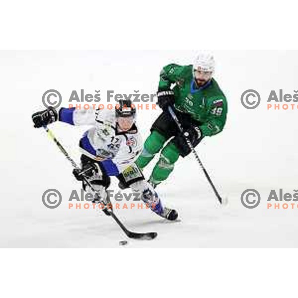 Ziga Pesut In action during Alps league ice-hockey match between SZ Olimpija and Vipiteno Broncos in Ljubljana, Slovenia on March 27, 2021