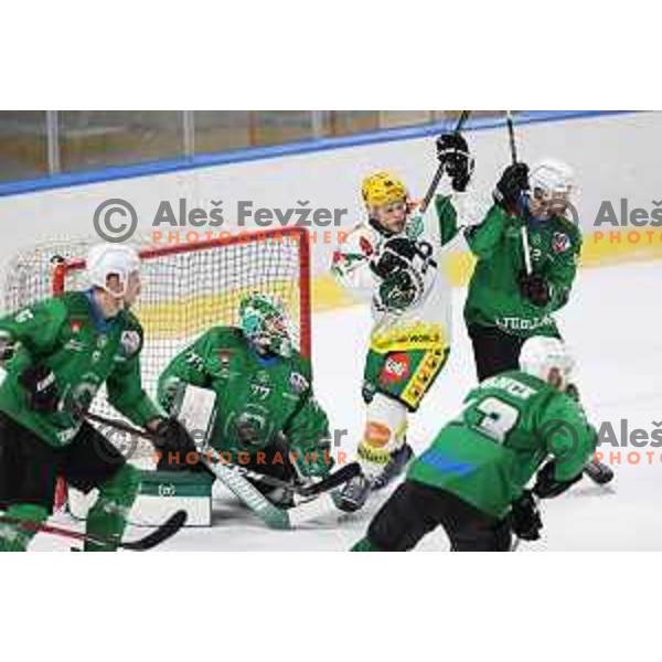 Paavo Holsa and Aleksandar Magovac in action during first match of the semi-final of Alps league between SZ Olimpija and Lustenau in Ljubljana, Slovenia on April 8, 2021