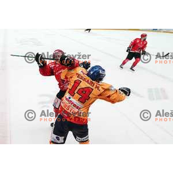 Mirko Djumic in action during first match of semi-final of Alps league between SIJ Acroni Jesenice and Asiago in Jesenice, Slovenia on April 8, 2021