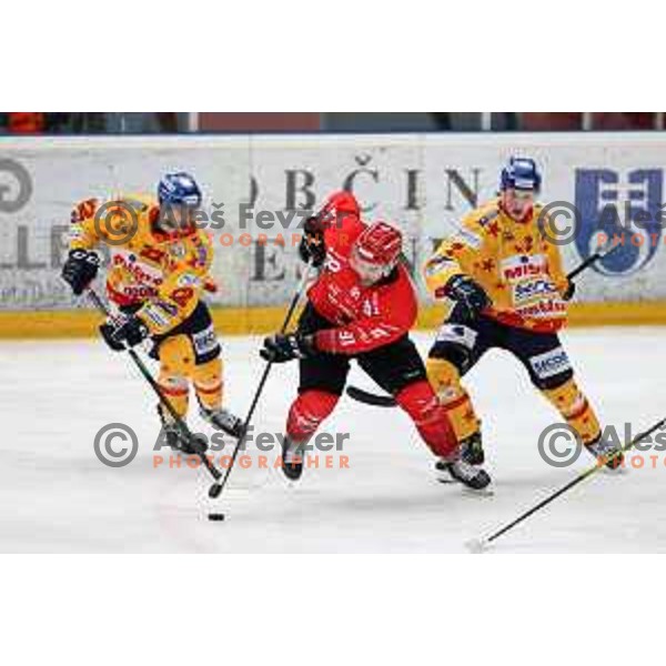 Zan Jezovsek in action during first match of semi-final of Alps league between SIJ Acroni Jesenice and Asiago in Jesenice, Slovenia on April 8, 2021