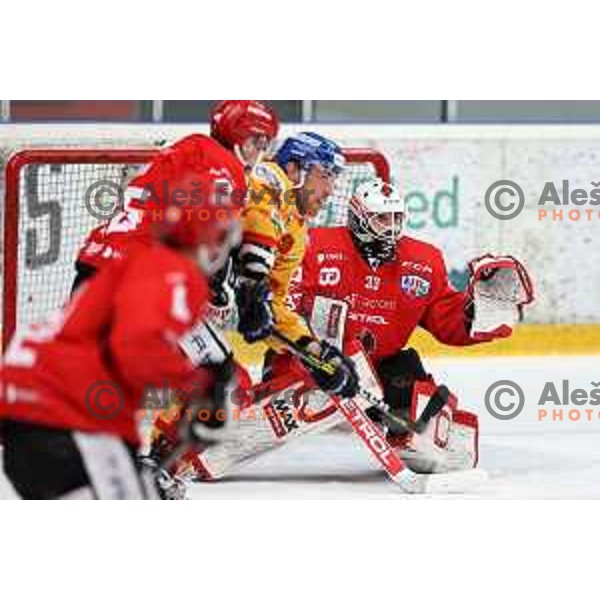 Zan Us in action during first match of semi-final of Alps league between SIJ Acroni Jesenice and Asiago in Jesenice, Slovenia on April 8, 2021