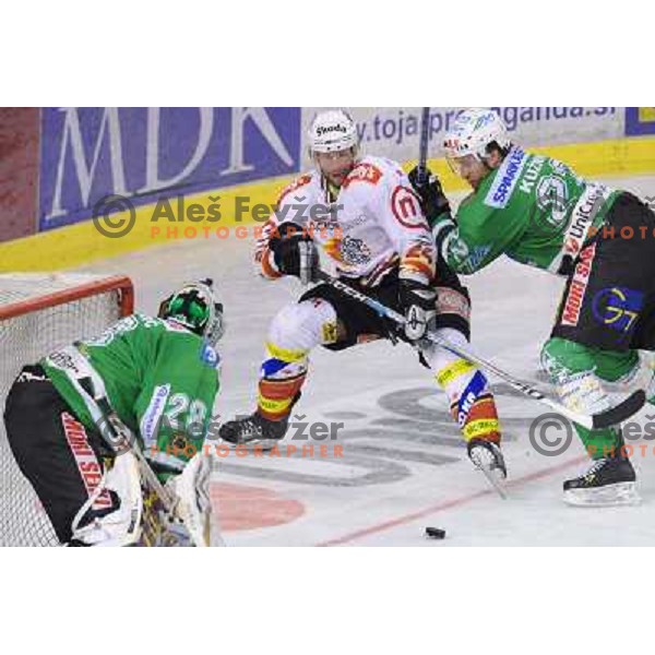 Terlikar , Kuznik, Mohoric at Ice Hockey match ZM Olimpija - Acroni Jesence - Fourth game of the final of the Slovenian championship ,played in Hala Tivoli Ljubljana 09.04.2008, Jesenice won 2:1 and won the series with 4:0 
