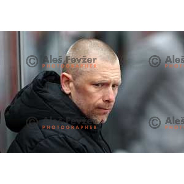 Head coach Mitja Sivic in action during first match of semi-final of Alps league between SIJ Acroni Jesenice and Asiago in Jesenice, Slovenia on April 8, 2021