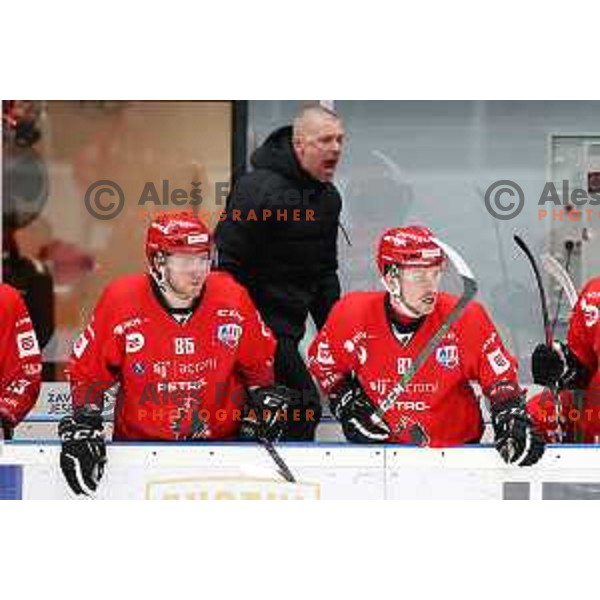 Timotej Kocar, Head coach Mitja Sivic and Saso Rajsar during first match of semi-final of Alps league between SIJ Acroni Jesenice and Asiago in Jesenice, Slovenia on April 8, 2021
