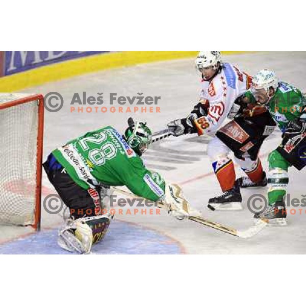 Mohoric, Bekar, Mccarty at Ice Hockey match ZM Olimpija - Acroni Jesence - Fourth game of the final of the Slovenian championship ,played in Hala Tivoli Ljubljana 09.04.2008, Jesenice won 2:1 and won the series with 4:0 