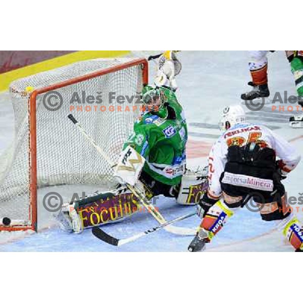 Mohoric, Terlikar at Ice Hockey match ZM Olimpija - Acroni Jesence - Fourth game of the final of the Slovenian championship ,played in Hala Tivoli Ljubljana 09.04.2008, Jesenice won 2:1 and won the series with 4:0 
