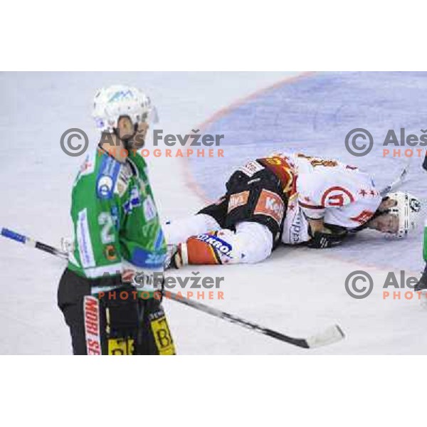 Hafner at Ice Hockey match ZM Olimpija - Acroni Jesence - Fourth game of the final of the Slovenian championship ,played in Hala Tivoli Ljubljana 09.04.2008, Jesenice won 2:1 and won the series with 4:0 
