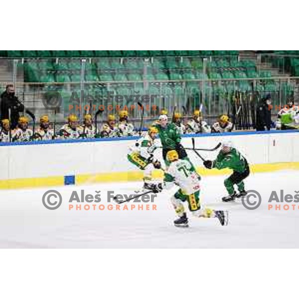 Tadej Cimzar and Nik Simsic during third match of the semi-final of Alps league between SZ Olimpija and Lustenau in Ljubljana, Slovenia on April 13, 2021