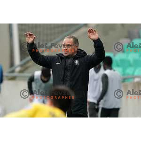 Head coach Goran Stankovic during Prva Liga Telekom Slovenije 2020-2021 football match between Olimpija and Bravo in SRC Stozice, Ljubljana, Slovenia on April 13, 2021
