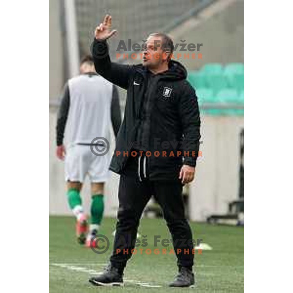 Head coach Goran Stankovic during Prva Liga Telekom Slovenije 2020-2021 football match between Olimpija and Bravo in SRC Stozice, Ljubljana, Slovenia on April 13, 2021