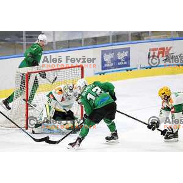 during third match of the semi-final of Alps league between SZ Olimpija and Lustenau in Ljubljana, Slovenia on April 13, 2021