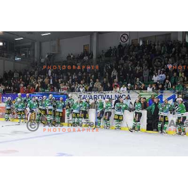 dissapointed Olimpija at Ice Hockey match ZM Olimpija - Acroni Jesence - Fourth game of the final of the Slovenian championship ,played in Hala Tivoli Ljubljana 09.04.2008, Jesenice won 2:1 and won the series with 4:0 