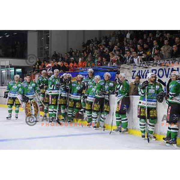 dissapointed Olimpija at Ice Hockey match ZM Olimpija - Acroni Jesence - Fourth game of the final of the Slovenian championship ,played in Hala Tivoli Ljubljana 09.04.2008, Jesenice won 2:1 and won the series with 4:0 