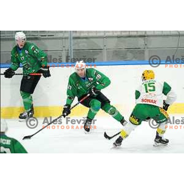 Anze Ropret of SZ Olimpija in action during fifth match of the semi-final of Alps League ice-hockey match between SZ Olimpija and Lustenau in Tivoli Hall, Ljubljana, Slovenia on April 17, 2021
