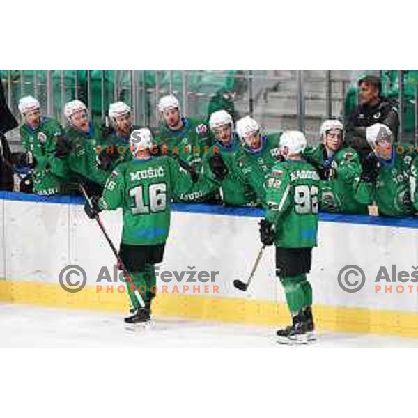 Ales Music, Luka Zorko of SZ Olimpija in action during fifth match of the semi-final of Alps League ice-hockey match between SZ Olimpija and Lustenau in Tivoli Hall, Ljubljana, Slovenia on April 17, 2021