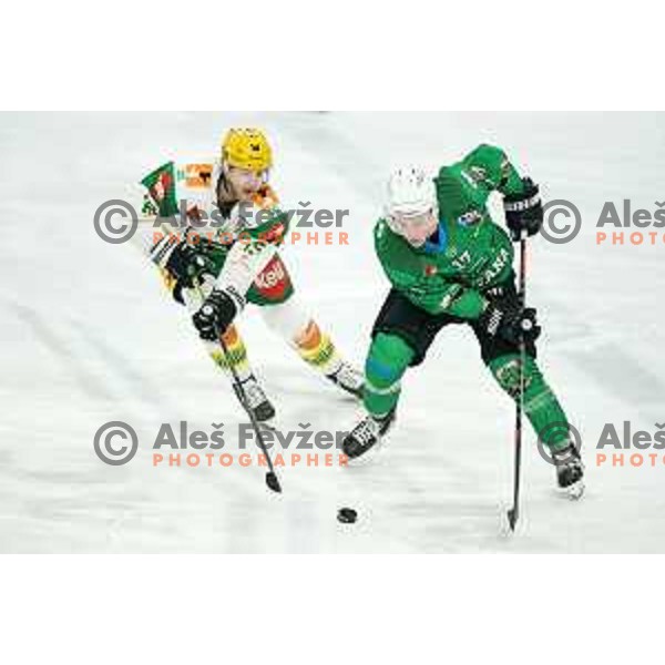 Juuso Pulli of SZ Olimpija in action during fifth match of the semi-final of Alps League ice-hockey match between SZ Olimpija and Lustenau in Tivoli Hall, Ljubljana, Slovenia on April 17, 2021
