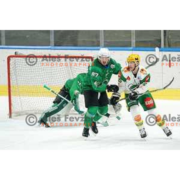 Marc-Olivier Vallerand of SZ Olimpija in action during fifth match of the semi-final of Alps League ice-hockey match between SZ Olimpija and Lustenau in Tivoli Hall, Ljubljana, Slovenia on April 17, 2021