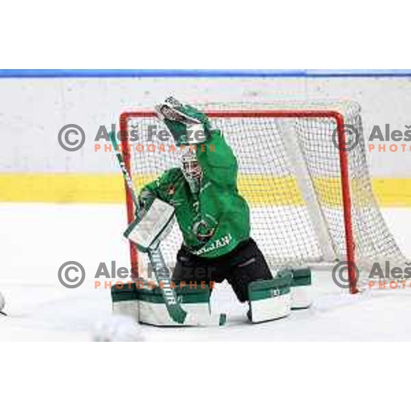 Paavo Holsa in action during the Final of Alps league ice-hockey match between SZ Olimpija and Asiago in Ljubljana, Slovenia on April 20, 2021