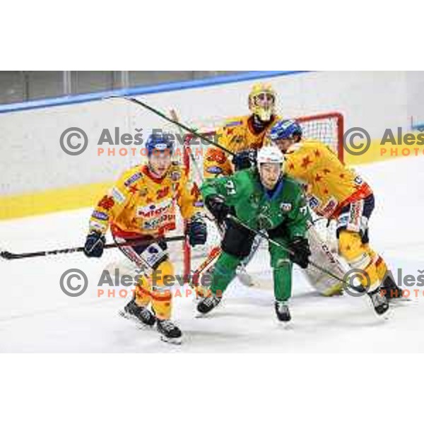 Nejc Brus in action during the Final of Alps league ice-hockey match between SZ Olimpija and Asiago in Ljubljana, Slovenia on April 20, 2021