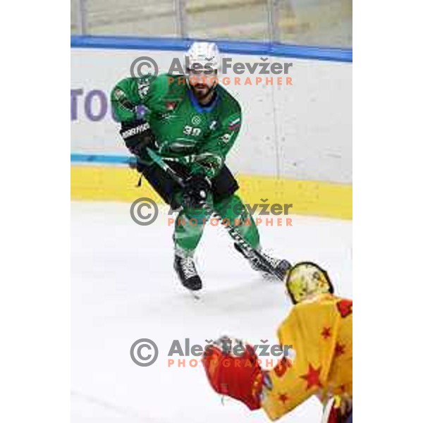 Ziga Pesut in action during the Final of Alps league ice-hockey match between SZ Olimpija and Asiago in Ljubljana, Slovenia on April 20, 2021