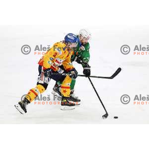 Nik Simsic in action during the Final of Alps league ice-hockey match between SZ Olimpija and Asiago in Ljubljana, Slovenia on April 20, 2021