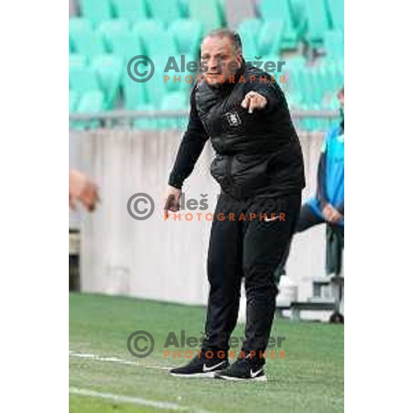 Head coach Goran Stankovic during Prva Liga Telekom Slovenije 2020-2021 football match between Olimpija and Koper in SRC Stozice, Ljubljana, Slovenia on April 21, 2021
