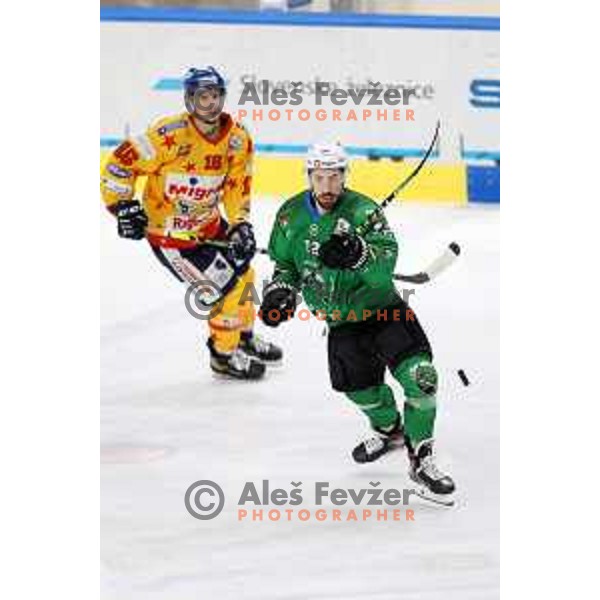 Nik Simsic in action during third match of the Final of Alps league ice-hockey match between SZ Olimpija and Asiago in Ljubljana, Slovenia on April 24, 2021