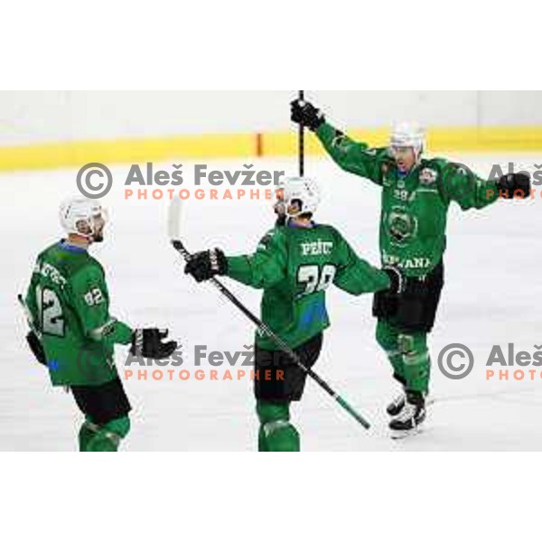 Ziga Pesut celebrates goal during third match of the Final of Alps league ice-hockey match between SZ Olimpija and Asiago in Ljubljana, Slovenia on April 24, 2021