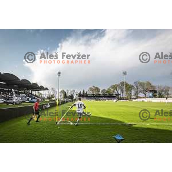 in action during Prva liga telekom Slovenije football match between Mura and Olimpija Ljubljana in Fazanerija, Murska Sobota, Slovenia on April 25, 2021