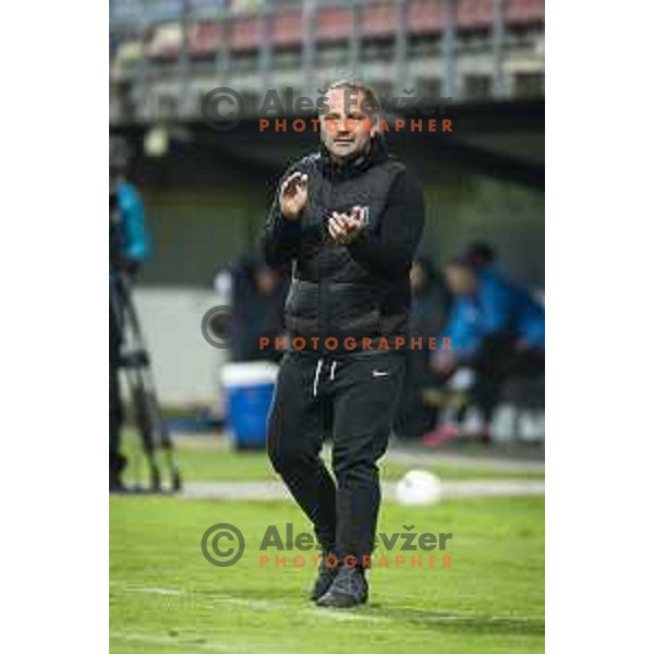 Head coach Goran Stankovic during Pivovarna Union Slovenian cup football match between Nafta 1903 and Olimpija Ljubljana in Lendava, Slovenia on April 28, 2021