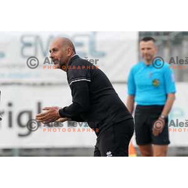 Head coach Igor Bozic in action during Prva Liga Telekom Slovenije 2020-2021 football match between Tabor CB 24 Sezana and Domzale in Sezana on May 1, 2021