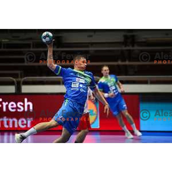 Vid Poteko in action during Euro Handball 2022 Qualifyer handball match between Slovenia and Turkey in Celje on May 2, 2021