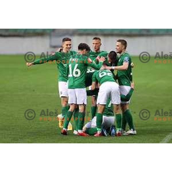 Michael Pavlovic , Djordje Ivanovic celebrate goal during Prva Liga Telekom Slovenije 2020-2021 football match between Olimpija and Aluminij in SRC Stozice, Ljubljana, Slovenia on May 2, 2021