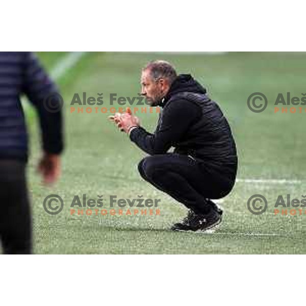 Head coach Goran Stankovic during Prva Liga Telekom Slovenije 2020-2021 football match between Olimpija and Aluminij in SRC Stozice, Ljubljana, Slovenia on May 2, 2021