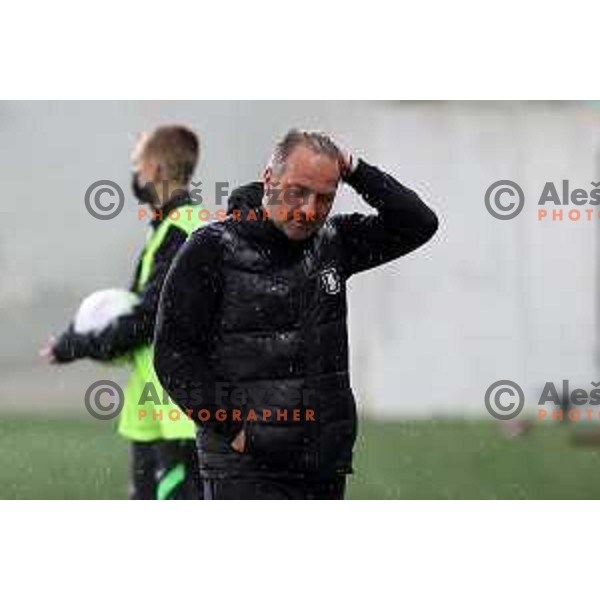 Head coach Goran Stankovic during Prva Liga Telekom Slovenije 2020-2021 football match between Olimpija and Aluminij in SRC Stozice, Ljubljana, Slovenia on May 2, 2021