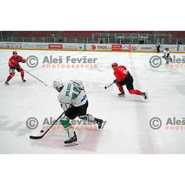 Ziga Pance in action during second game of the Final of Slovenian Championship ice-hockey match between SIJ Acroni Jesenice and SZ Olimpija in Jesenice, Slovenia on May 3, 2021