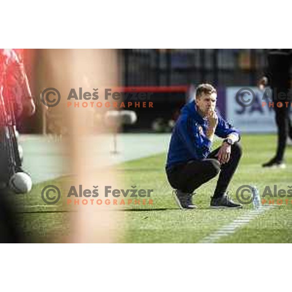 Simon Rozman, head coach of Maribor in action during Prva liga Telekom Slovenije football match between Maribor and Tabor Sezana in Ljudski vrt, Maribor, Slovenija on May 4, 2021