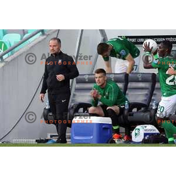 Goran Stankovic, head coach of Olimpija in action during Prva Liga Telekom Slovenije 2020-2021 football match between Olimpija and Maribor in SRC Stozice, Ljubljana, Slovenia on May 9, 2021