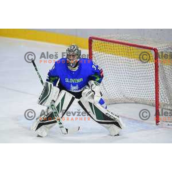 Gasper Kroselj in action during Beat Covid-19 ice-hockey tournament match between Slovenia and Austria in Tivoli Hall, Ljubljana on May 15, 2021