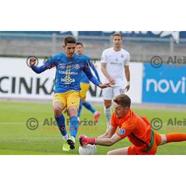 Ester Sokler and Ziga Frelih in action during Prva liga Telekom Slovenije 2020-2021 football match between Celje and Olimpija in Celje on May 16, 2021