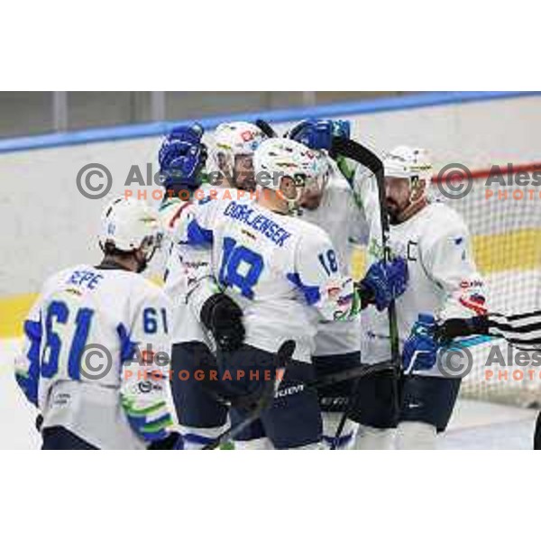 Nik Simsic and Ken Ograjensek celebrate goal during Beat Covid-19 ice-hockey tournament match between Slovenia and France in Tivoli Hall, Ljubljana on May 17, 2021