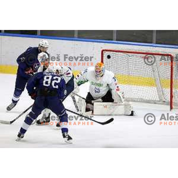 Luka Gracnar in action during Beat Covid-19 ice-hockey tournament match between Slovenia and France in Tivoli Hall, Ljubljana on May 17, 2021
