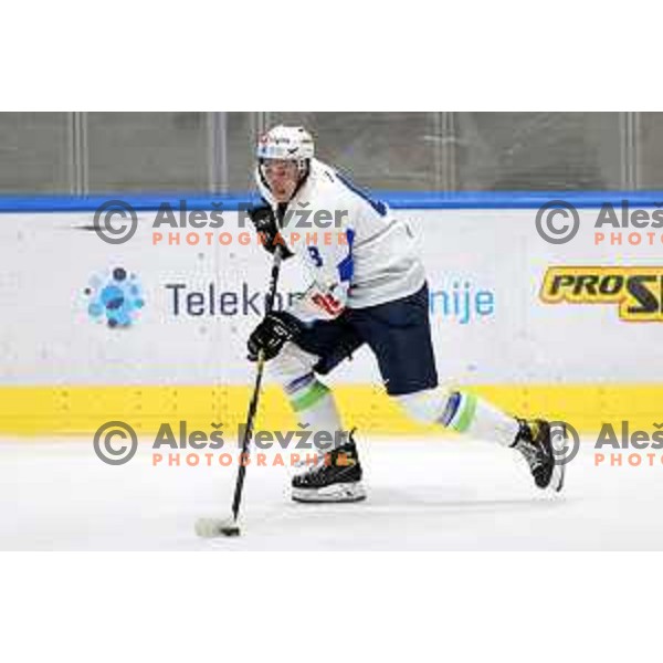 Jaka Sturm in action during Beat Covid-19 ice-hockey tournament match between Slovenia and Romania in Tivoli Hall, Ljubljana on May 18, 2021
