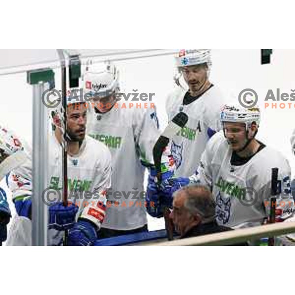Zan Jezovsek, Ziga Pavlin, Luka Kalan, Matjaz Kopitar during Beat Covid-19 ice-hockey tournament match between Slovenia and Romania in Tivoli Hall, Ljubljana on May 18, 2021