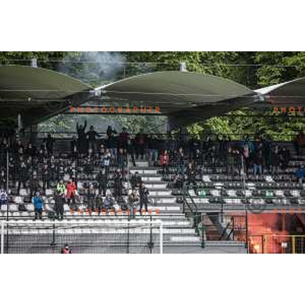 Fans of Mura in action during Prva liga Telekom Slovenije football match between Mura and Domzale in Fazanerije, Murska Sobota, Slovenia on May 19, 2021