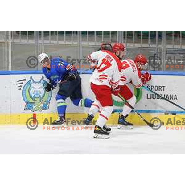 Beat Covid-19 ice-hockey tournament match between Slovenia and Poland in Tivoli Hall, Ljubljana on May 20, 2021