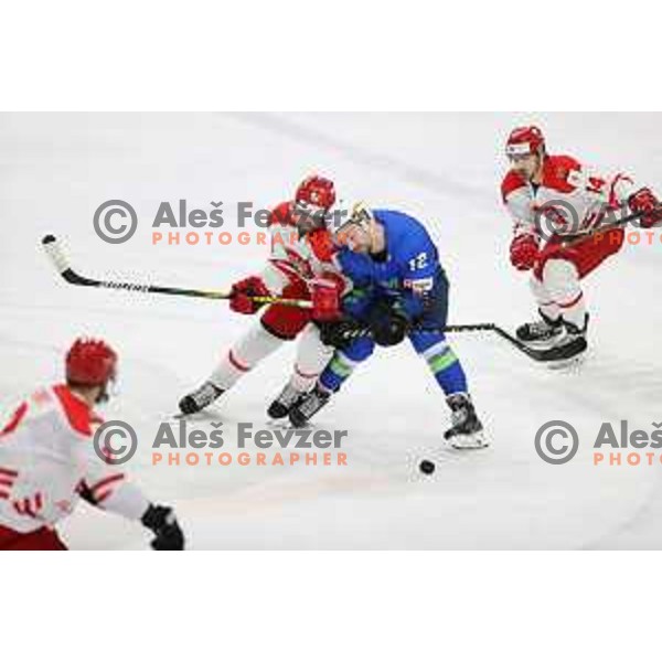 Beat Covid-19 ice-hockey tournament match between Slovenia and Poland in Tivoli Hall, Ljubljana on May 20, 2021