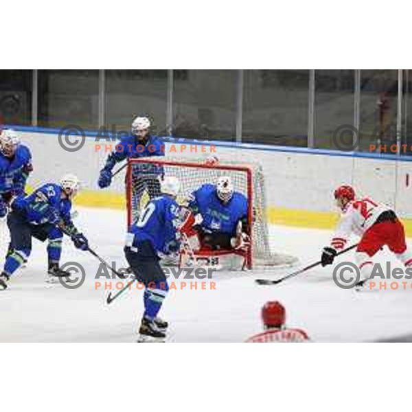 Beat Covid-19 ice-hockey tournament match between Slovenia and Poland in Tivoli Hall, Ljubljana on May 20, 2021