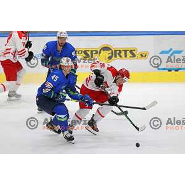 Beat Covid-19 ice-hockey tournament match between Slovenia and Poland in Tivoli Hall, Ljubljana on May 20, 2021